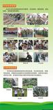 惠阳基地简介4